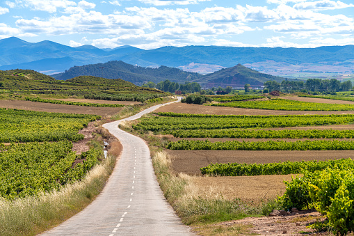 Exquisitely beautiful landscapes along the wine route of the Rioja region in Spain.