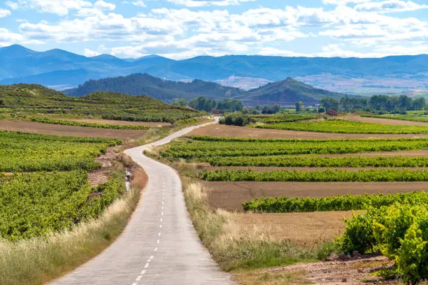 Photo of Exquisitely beautiful landscapes along the wine route of the Rioja region in Spain.