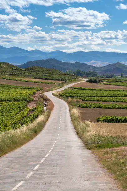 Photo of Exquisitely beautiful landscapes along the wine route of the Rioja region in Spain.