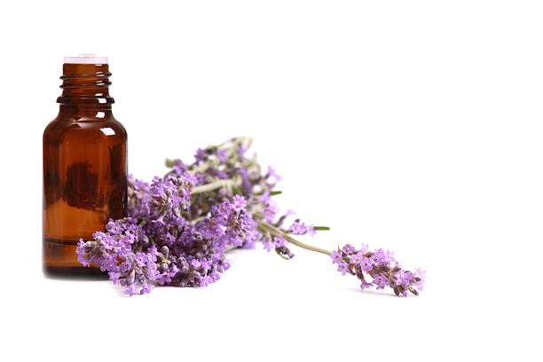 istock Aromatherapy oil and lavender 133889991