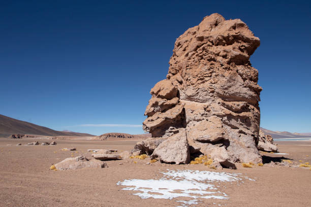 istock Salar de Tara on the Chile 1338901845