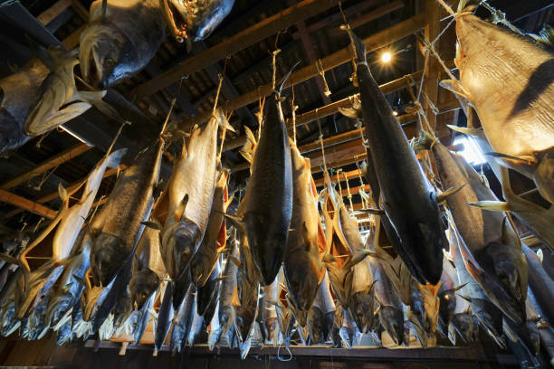 saumon salé à murakami city, niigata pref., japon - niiagata photos et images de collection