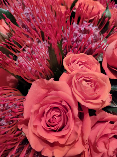 istock Red roses with red flowers 1338905565