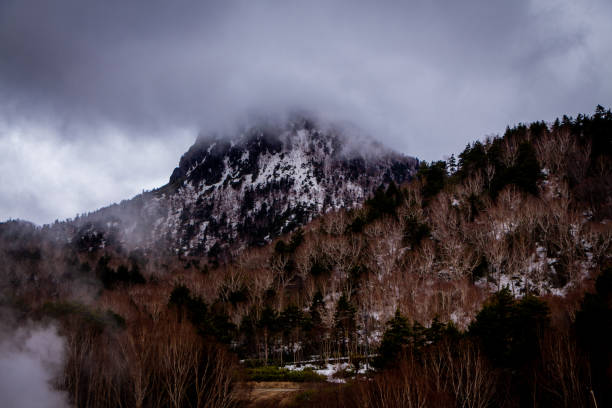 istock Gunma Photography 1338906541