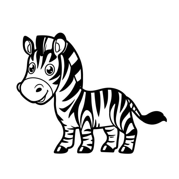 ilustrações de stock, clip art, desenhos animados e ícones de cute cartoon zebra outline drawing for coloring on a white background - zebra