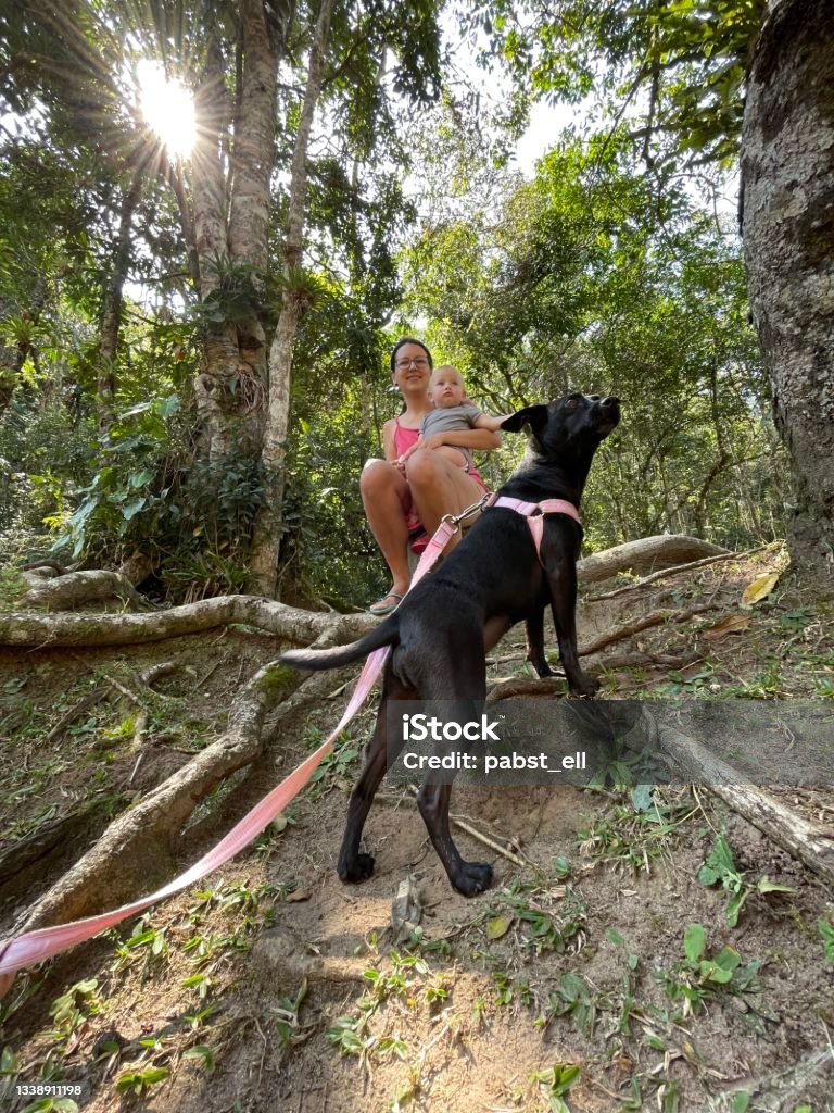 Baby girl and mother with black mixed-breed dog in forest Black dog in the foreground and girls on the background 12-17 Months Stock Photo