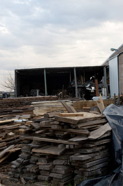 istock Lumber yard with blue sky in the background 1338912053