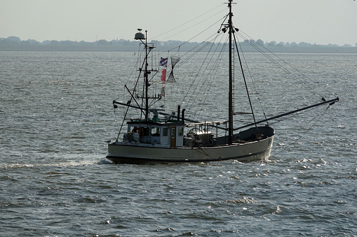 Netherlands. Lauwersoog. August 30. A fishermen boat fishing shrimps on the Wadden Sea