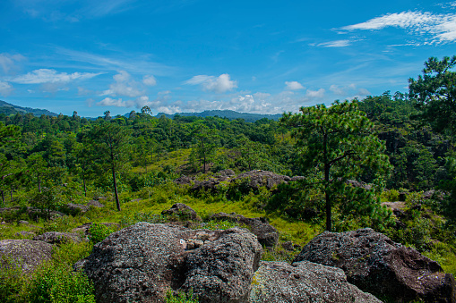 rocks in the middle of the natural forest with blue sky with clouds Esquipulas Guatemala