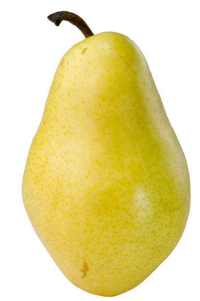 istock Close-up of yellow pear fruit 1338913606