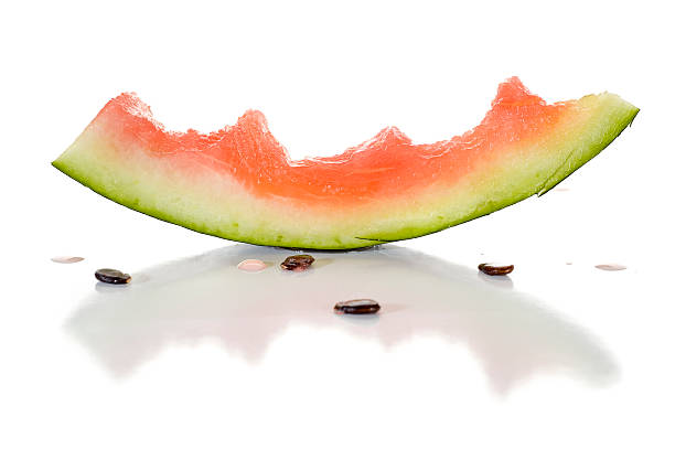 Wassermelone – Foto