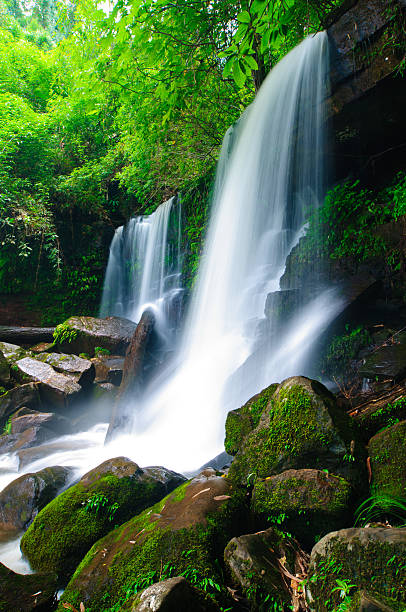 istock Deep forest Waterfall, Loei, northern of Thailand 133891686