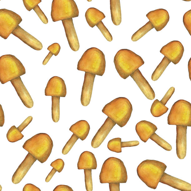 istock Toxic cartoon mushroom seamless pattern on white background. Watercolor hand drawing illustration. Perfect for wallpaper, digital paper, textile. Yellow toadstool mushroom. 1338918420