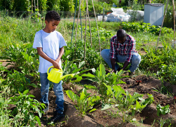 istock Friendly family works on garden beds 1338919324