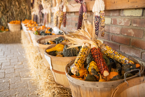 Baskets full of Indian corn are on display for sale at a rural farmer’s market in the Catskill Mountains region of upstate New York, USA in October.
