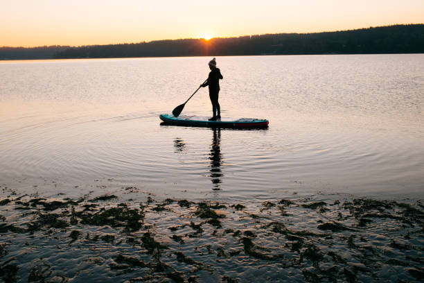istock Morning Paddleboard Session in The Pacific Northwest 1338922756