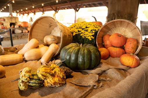 Baskets full of squash and pumpkins are on display for sale at a rural farmer’s market in the Catskill Mountains region of upstate New York, USA in October.