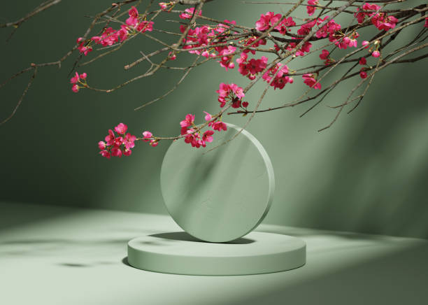 istock 3D background, green circle podium. Round display, sakura pink flower branch shadow. Cosmetic or beauty product promotion step pedestal. Abstract minimal 3D render copy space template. 1338924721