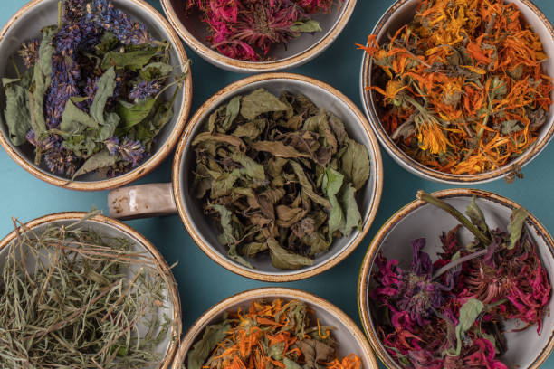 assortimento di erbe da tè rilassanti essiccate in tazze colorate su sfondo blu da vicino. calendula, menta, issopo di anice, monarda didyma, assenzio, foglie di salvia. - 5551 foto e immagini stock