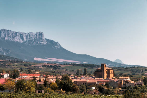 istock Small Spanish town between vineyards and mountains 1338925116