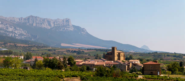istock Small Spanish town between vineyards and mountains 1338925128