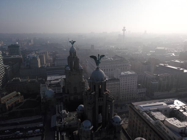 mglisty poranek nad liverpoolem - liverpool royal liver building uk built structure zdjęcia i obrazy z banku zdjęć