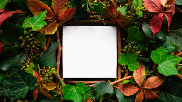 istock Creative layout made of leaves with paper card note. Flat lay. Top view. 1338928529