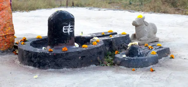 Close up of shivling and nandi bull decorated with offerings of marigold flowers in an open air temple.