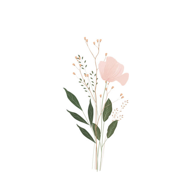 illustrazioni stock, clip art, cartoni animati e icone di tendenza di illustrazione vettoriale del bouquet. un elemento per un invito di nozze. - grace tulip flower pink