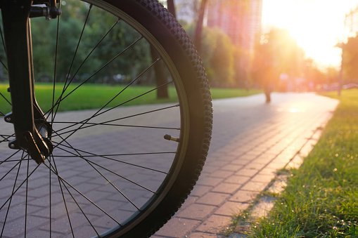 Close-up of the front wheel of a bicycle at sunset on the road in a city park.
