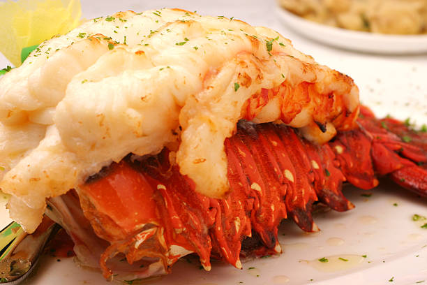 lobster tail lobster tail with lemon and butter tail fin photos stock pictures, royalty-free photos & images