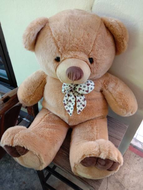 istock A Lonely Teddy Bear in The Morning 1338937286