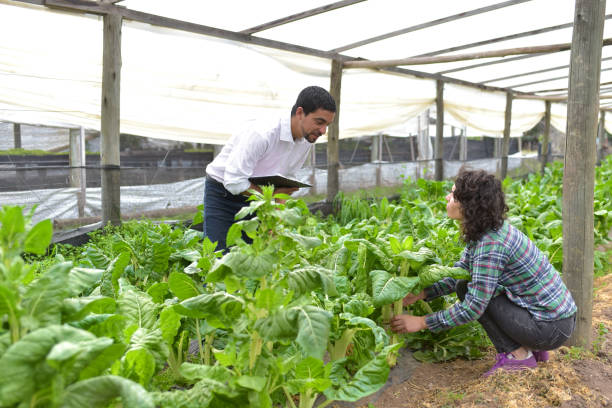 istock woman farmer with seller 1338937332