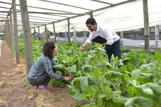 istock woman farmer with seller 1338937909