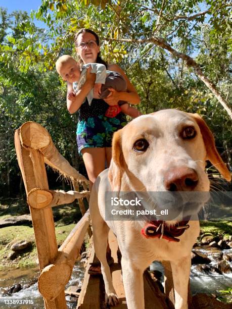 Dog Face Mother And Daughter Hiking Bridge Stock Photo - Download Image Now - Family, Dog, Brazilian Ethnicity