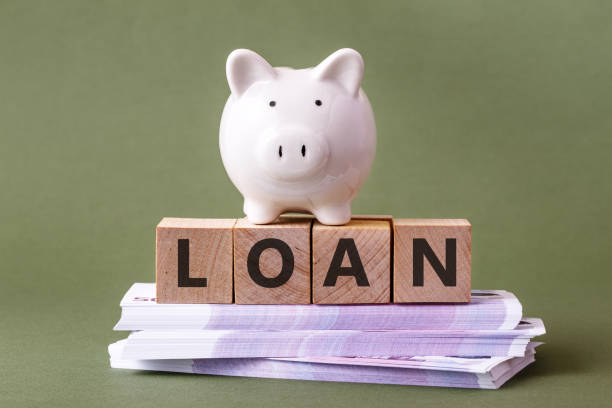istock Piggy bank with LOAN 1338938144