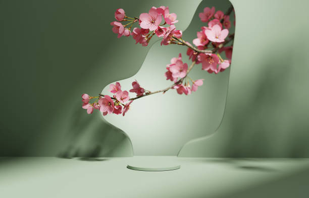 istock 3D background, green podium. Round display, sakura pink flower tree branch shadow. Cosmetic or beauty product promotion step floral pedestal. Abstract minimal advertise. 3D render copy space template. 1338938347