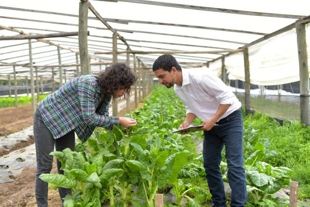 istock woman farmer with seller 1338939577