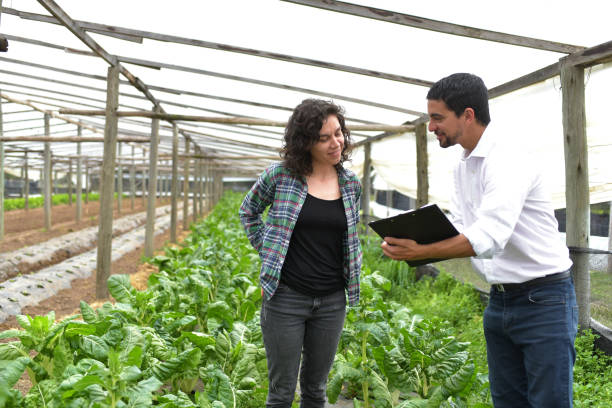 istock woman farmer with seller 1338939772