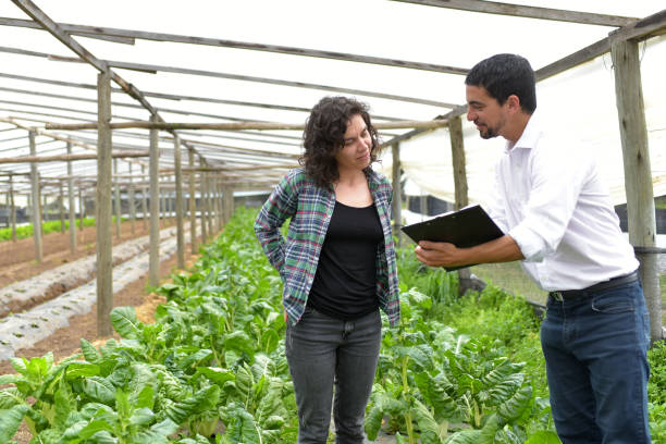 istock woman farmer with seller 1338939817
