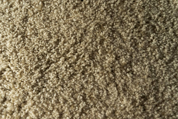 istock Close-up of beige fluffy carpet texture background, coffee-colored carpet background 1338940567