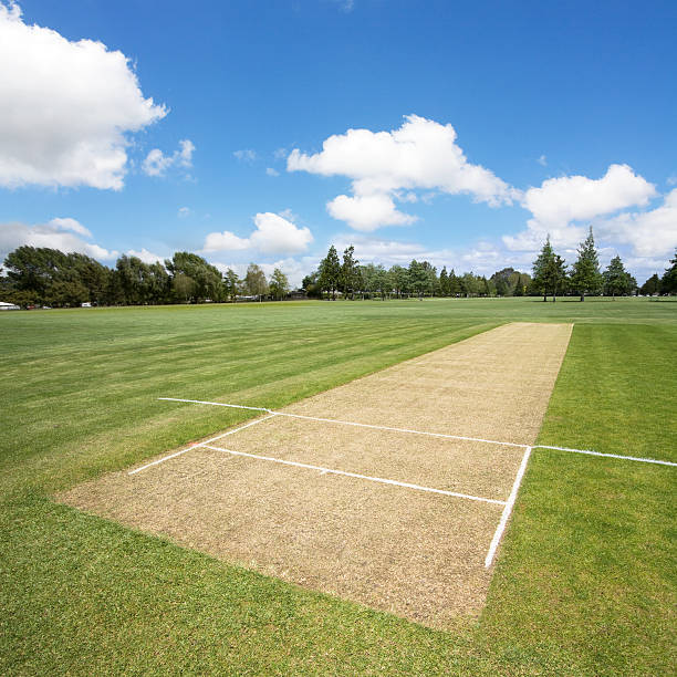 istock A large empty cricket pitch on a lovely day 133894149