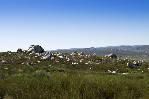 Rock strewn landscape in the Serra da Estrela mountain range of Portugal. Large boulders in the middle distance with mountains in the background. Clear blue sky overhead.