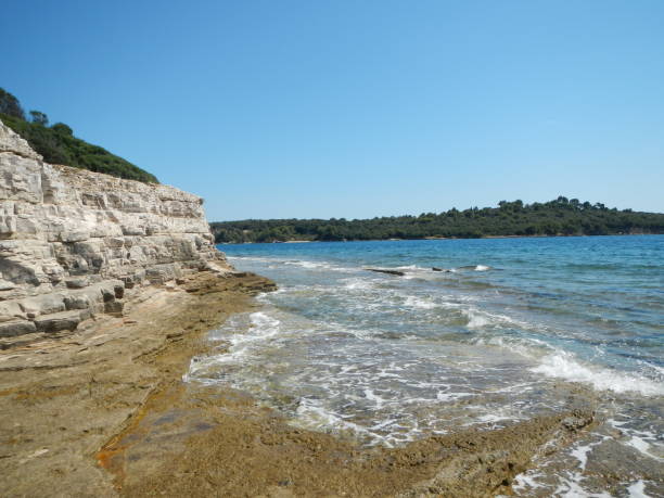 istock Island Kozada in Brijuni islands, Istria, Croatia 1338949769
