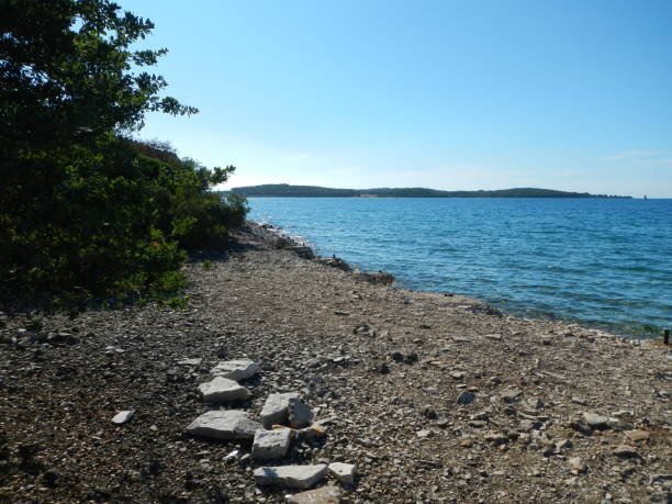 istock Island Kozada in Brijuni islands, Istria, Croatia 1338949820
