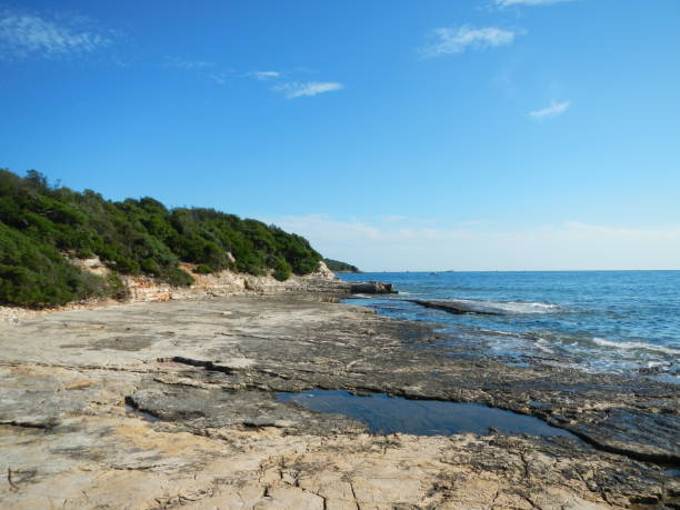 istock Island Kozada in Brijuni islands, Istria, Croatia 1338949827