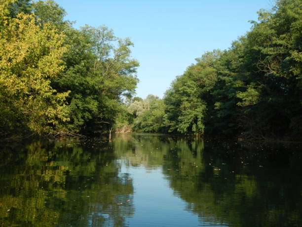 istock Beautiful Summer of Vipava river 1338950459
