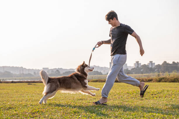istock young man playing with a dog outside 1338954070