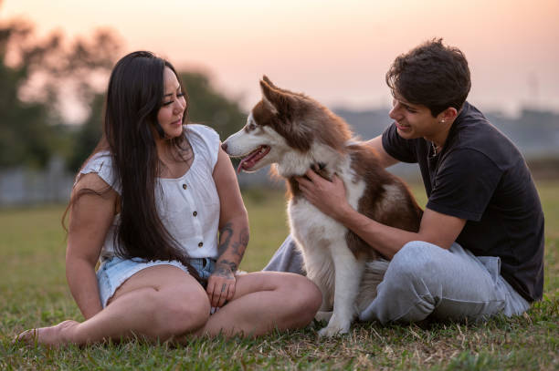 istock young couple with a dog at the park 1338954626