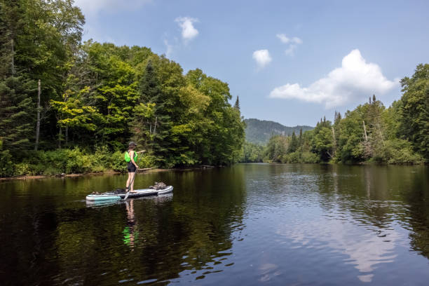 istock Woman Paddleboarding on the River in Summer 1338954984